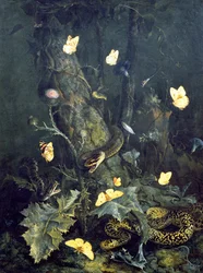 Ormar och fjärilar, 1670